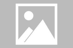 bob半岛体育app下载-CBA常规赛：山西汾酒胜南京天之蓝|中国男子篮球职业联赛|托尼-帕克|南京队|胡崇洋|球员